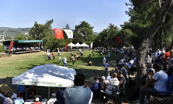 Osmangazi’den ’siyah incir’e yakışan festival