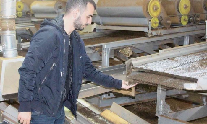 24 yaşındaki fabrika sahibi Yasin Sönmez: “Gençlerimizin en büyük problemi iş beğenmeme”