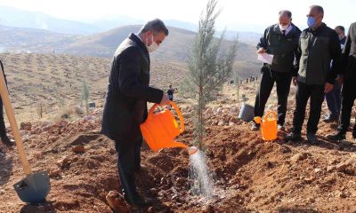 Malatya’da bir yılda 2 milyon 250 bin fidan toprakla buluşacak