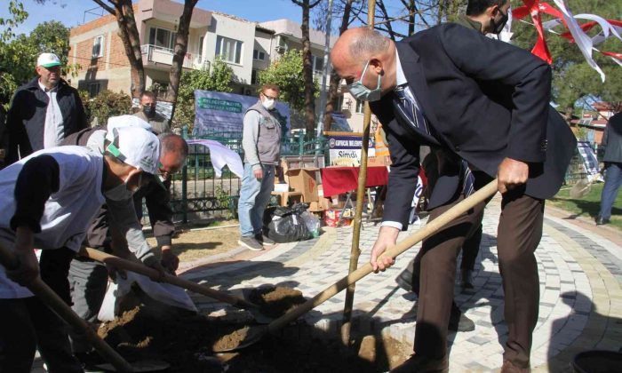 Milli Ağaçlandırma Günü’nde Kuyucak’ta fidanlar toprakla buluştu