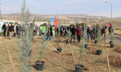 Şırnak’ta 56 bin fidan toprakla buluştu