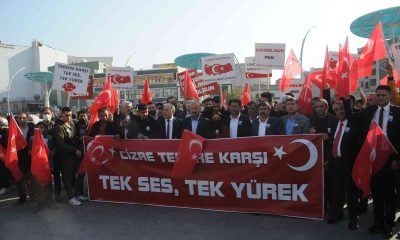 Cizre’de aşiretlerden teröre lanet mitingi